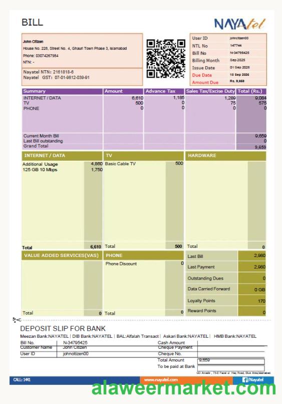 Pakistan NAYAtel utility bill template in Word and PDF formats
